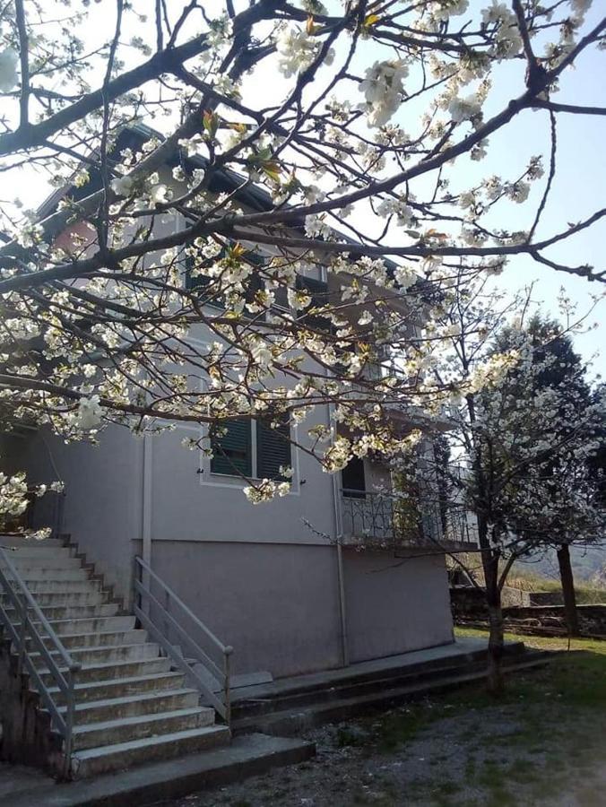 Agroturizem Hotel Vila Franceze Koman Exterior foto