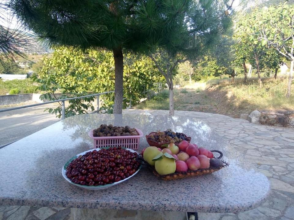 Agroturizem Hotel Vila Franceze Koman Exterior foto